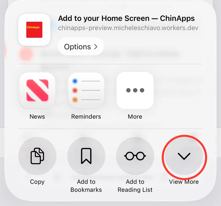 Step 2: Tap View More